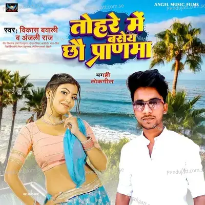 Tohre Me Basai Chhau Paranma - Vikash Bawali album cover 