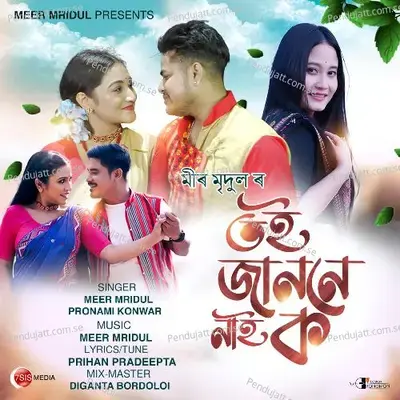 Toi Jano Ne Nai Ko - Meer Mridul album cover 