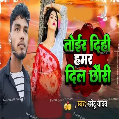 Toir Dihi Hamar Dil Chhauri - Chhotu Yadav album cover 