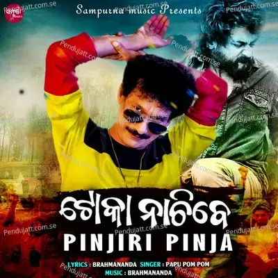 Toka Nachibe Pinjiri Pinja - Papu Pom Pom