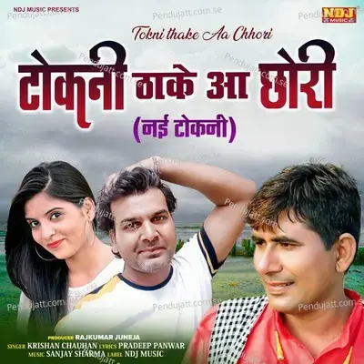 Tokani Tha Ke Aa Chhori - Krishan Chauhan album cover 