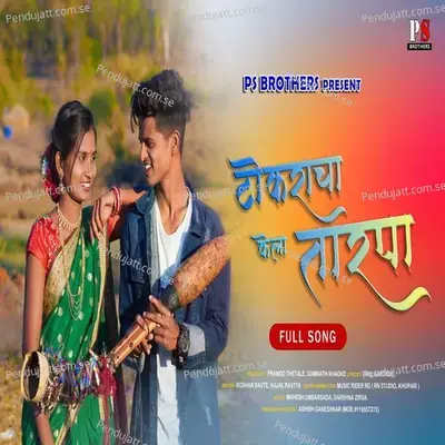 Tokaracha Kela Tarpa - Roshan Ravate album cover 