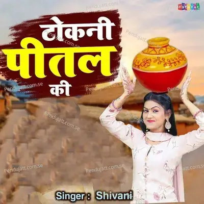 Tokni Peetal Ki - Shivani album cover 