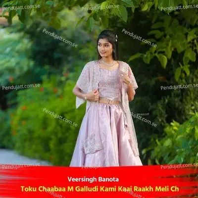 Toku Chaabaa M Galludi Kami Kaai Raakh Meli Ch - Veersingh Banota album cover 