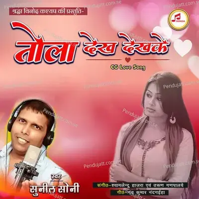 Tola Dekh Dekhke - Sunil Soni album cover 