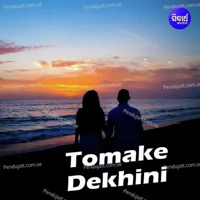 Tomake Dekhini - Subhasree Debnath album cover 