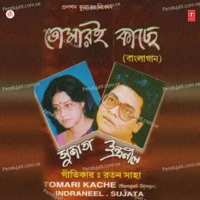 Tomari Kache - Indraneel album cover 