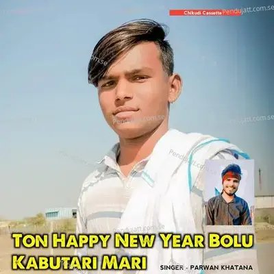 Ton Happy New Year Bolu Kabutari Mari - Parwan Khatana album cover 