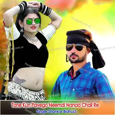 Tone Kun Pavego Neemdi Nanad Chali Re - Shankar Bidhudi