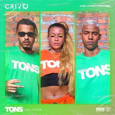 Tons #2 - O Golpe - Nanda album cover 