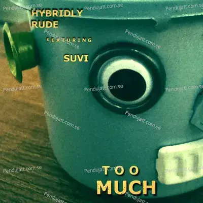 Too Much - Hybridly Rude album cover 