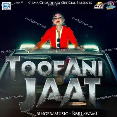 Toofani Jaat - Raju Swami album cover 