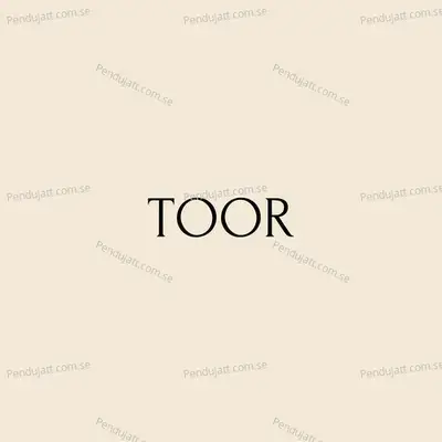 Toor - Chandana Dixit album cover 