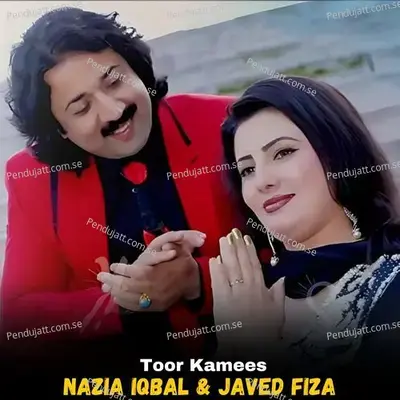 Toor Kamees - Nazia Iqbal album cover 