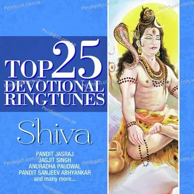 Shiva Tandav Stotra - Ravindra Sathe album cover 