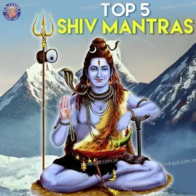 Top 5 Shiv Mantras - Various Artists cover album