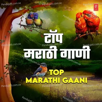 Top Marathi Gaani - Various Artists cover album