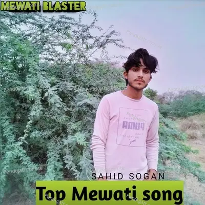 Top Mewati Song - Sahid Sogan album cover 