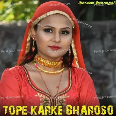 Tope Karke Bharosa - Waseem Dehangal album cover 