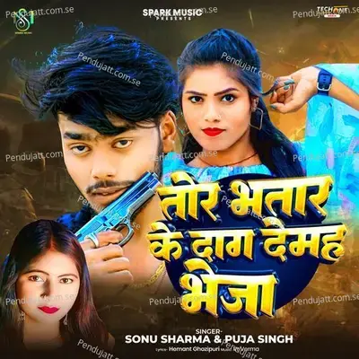 Tor Bhatar Ke Dag Deham Bheja - Sonu Sharma album cover 