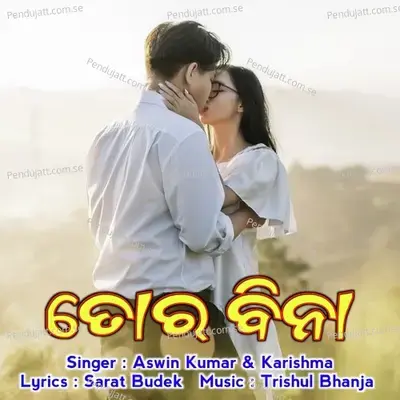 Tor Bina - Aswin Kumar album cover 
