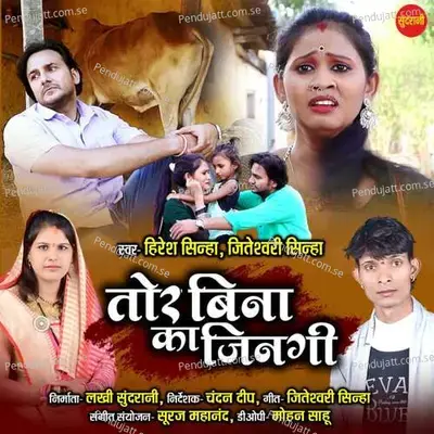 Tor Bina Ka Jingi - Hiresh Sinha album cover 