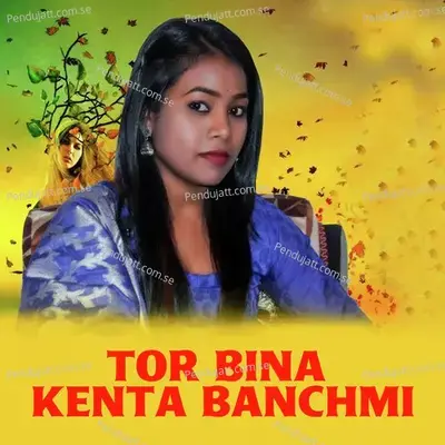 Tor Bina Kenta Banchmi - Krish Kumar album cover 