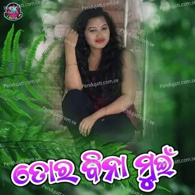 Tor Bina Mui - Prahallada Rajhans album cover 