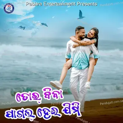Tor Bina Pagal Heijimi - Bali album cover 