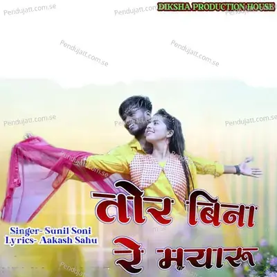Tor Bina Re Mayaru - Sunil Soni album cover 