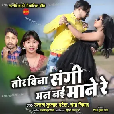 Tor Bina Sangi Man Nai Mane Re - Uttam Kumar Patel album cover 