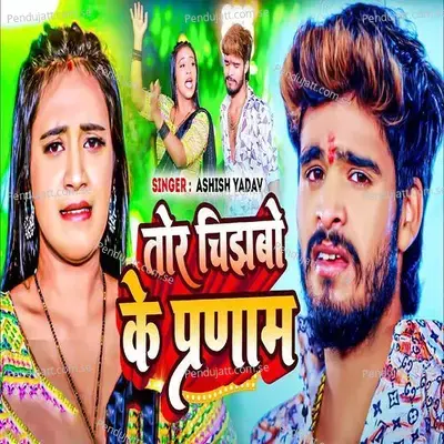 Tor Chijhabo Ke Parnam - Ashish Yadav album cover 