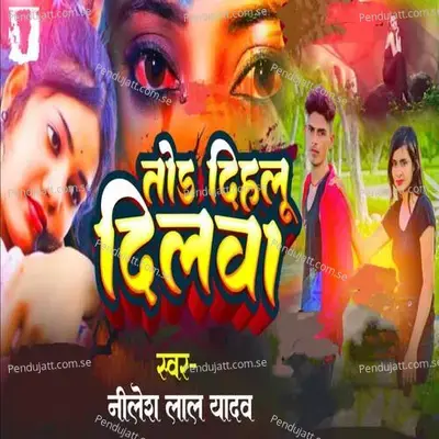 Tor Dihlu Dilwa - Nilesh Lal Yadav album cover 