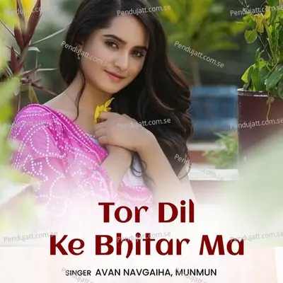 Tor Dil Ke Bhitar Ma - Avan Navgaiha album cover 