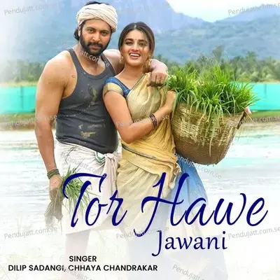 Tor Hawe Jawani - Dilip Sadangi album cover 