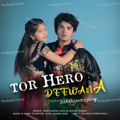 Tor Hero Deewana - Bijay Anand Sahu album cover 