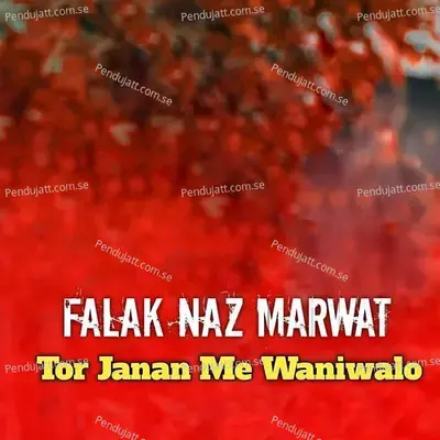 Tor Janan Me Waniwalo - Falak Naz Marwat album cover 