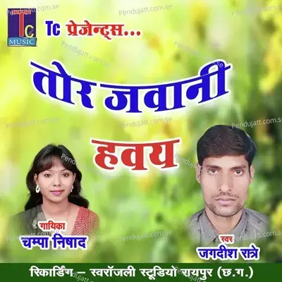 Tor Jawani Havay - Jagdish Ratre album cover 