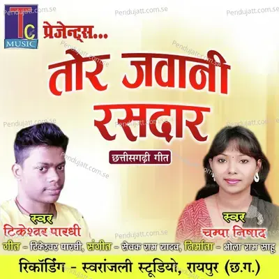 Tor Jawani Rasdar - Tikeshwar Pardhi album cover 