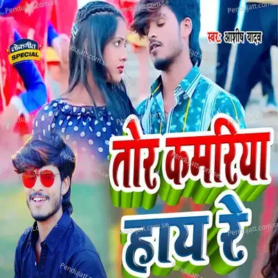 Tor Kamariya Hau Re - Ashish Yadav album cover 