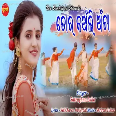 Tor Kanli Anta - Satrughna Luha album cover 