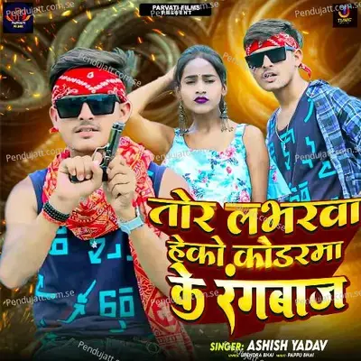 Tor Labharwa Ho Koderma Ke Rangbaaz - Ashish Yadav album cover 