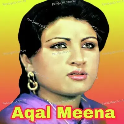 Mazdegar Dai Ka Nadai - Aqal Meena album cover 