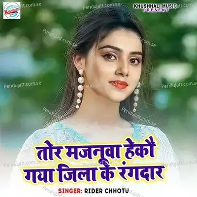 Tor Majnuva Hakau Gaya Jila Ke Rangdar - Rider Chhotu album cover 