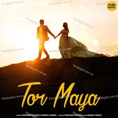 Tor Maya - Toshant Kumar album cover 