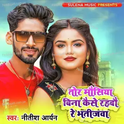Tor Mosiya Bina Kese Rahabo Re Batajiva - Nitish Aryan
