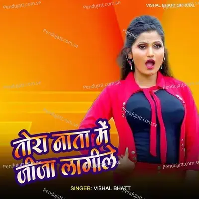 Tor Nata Me Jija Lagile - Vishal Bhatt album cover 