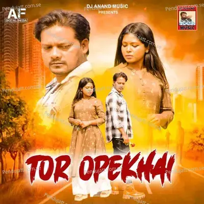 Tor Opekhai - Jagadish album cover 