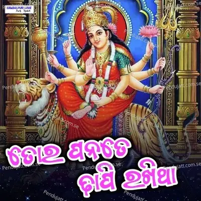 Tor Panate Dhapi Rakhitha - Rajesh Barik album cover 