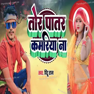 Tor Patar Kamariya Na - Pintu Raj album cover 